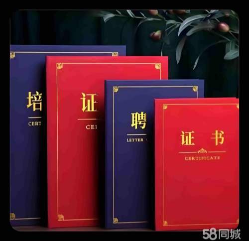 专业证件制作培训:从小白到高手的蜕变之路